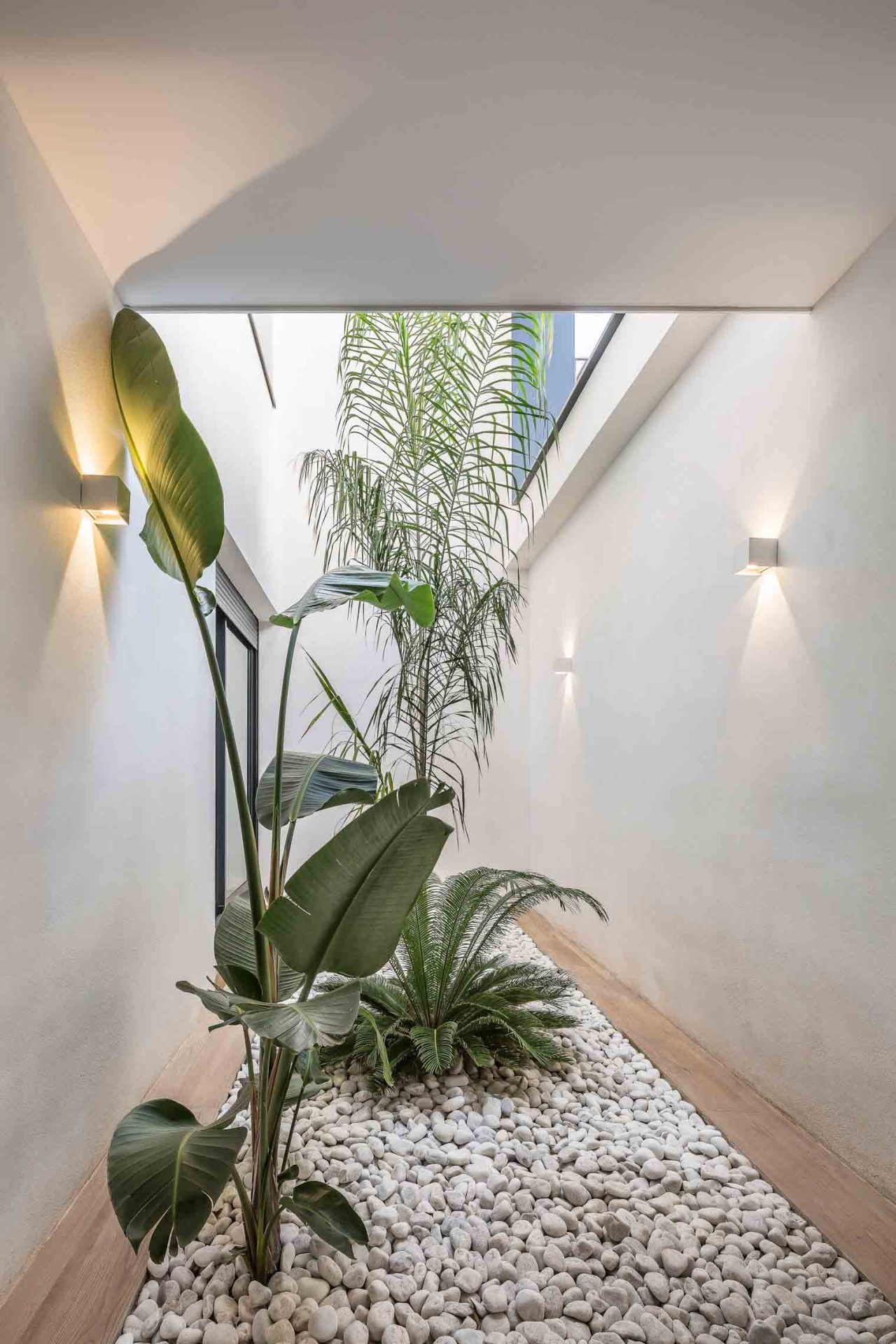 Casa-J_G-Valencia---Patio-de-acceso