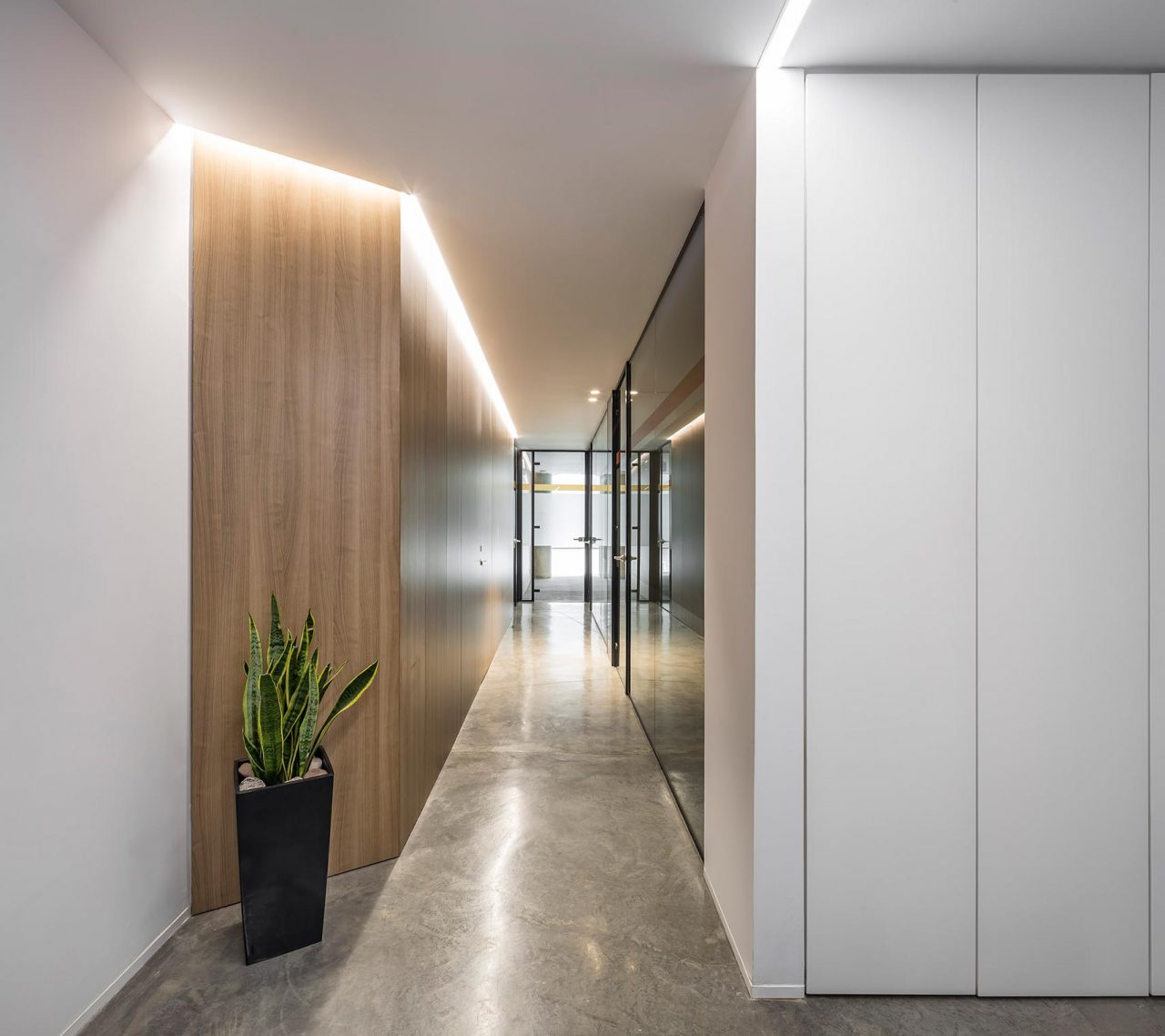 Oficinas-Dadelos-Pasillo-de-oficinas