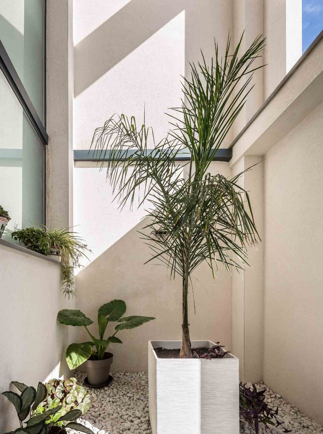 Casa-R&P-en-Foios-Valencia---Patio