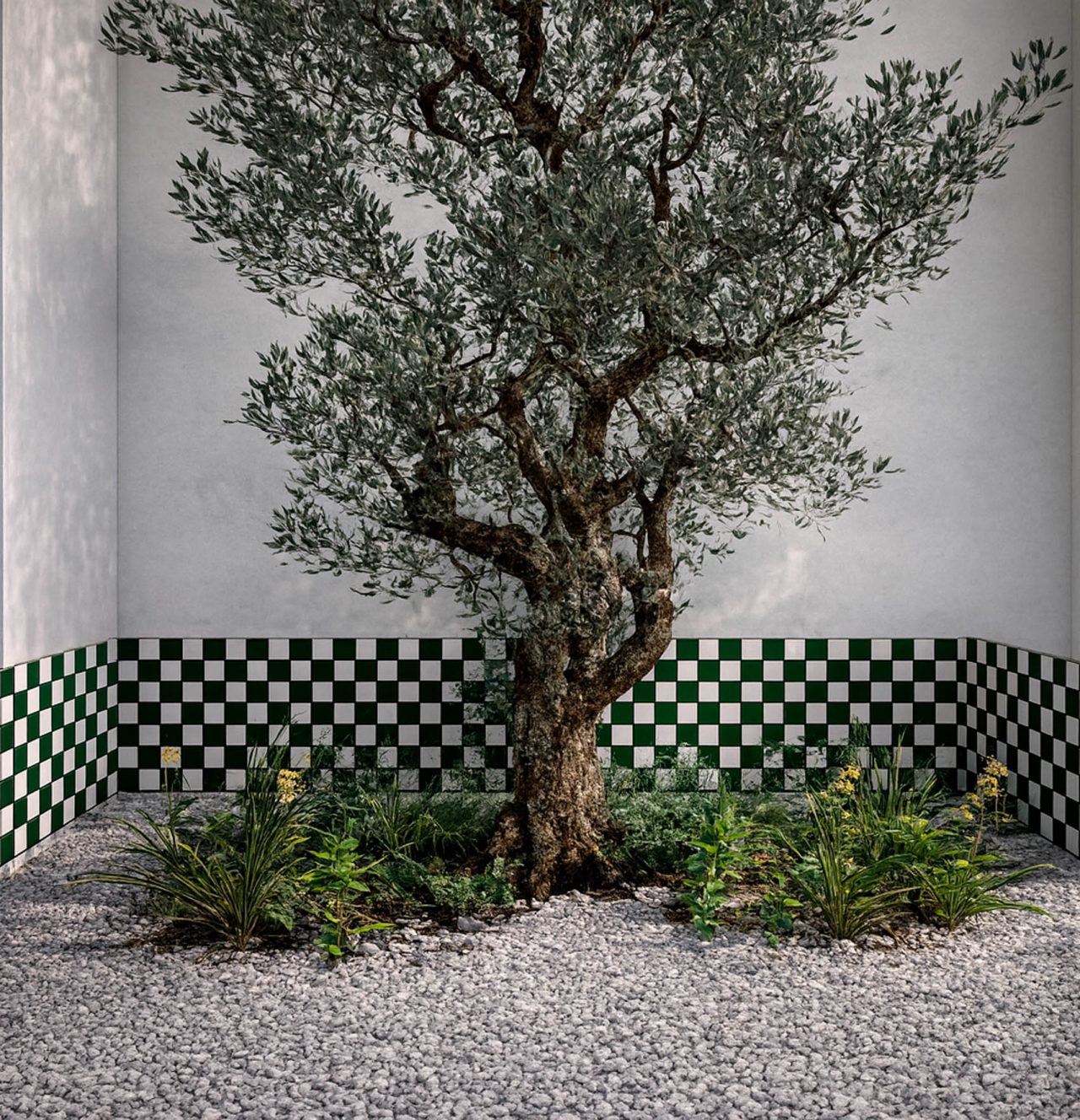 Patio con olivo y paredes con revestimiento cerámico verde y blanco